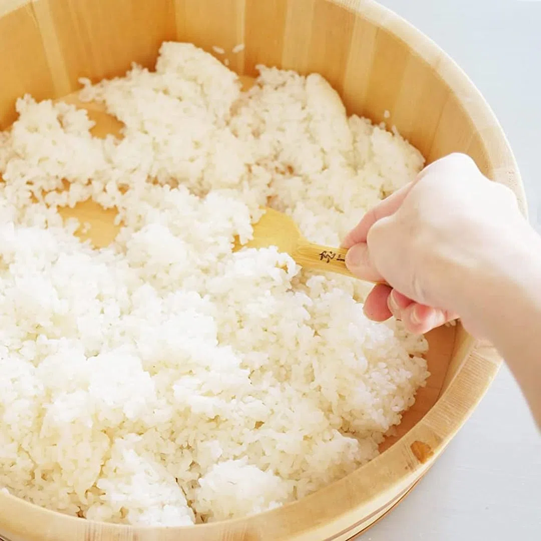 TIKUSAN Hangiri - Vaschetta per mescolare riso e sushi, in legno, con fascia in polipropilene, realizzata in Giappone, in abete Momi, per sushi, riso, sushi oke (30 cm)