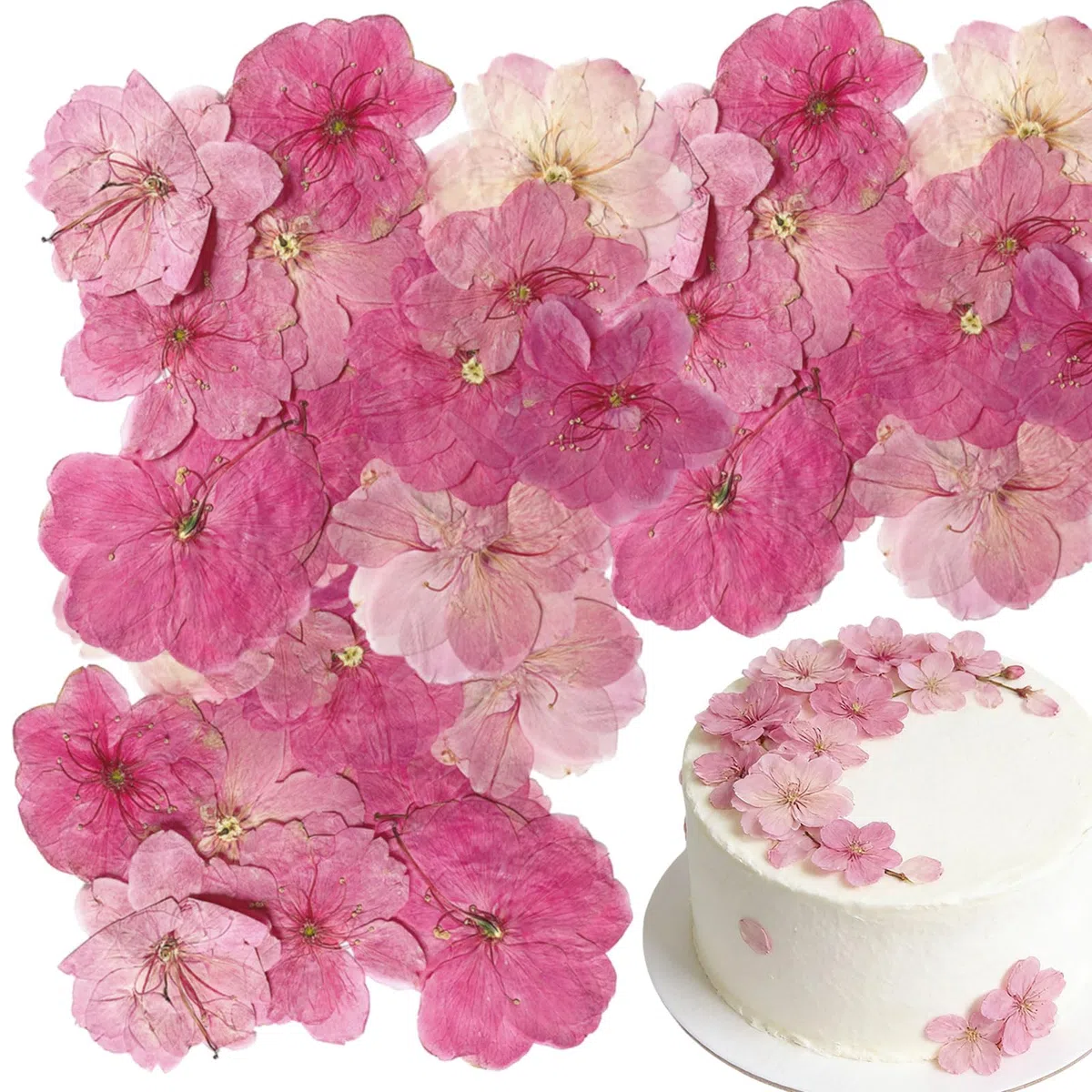 40 Pezzi 2 Tipi di Fiori Naturali Pressati Commestibili, Decorazione per Torte - Sakura, Fiori di Ciliegio per Cake Topper, Cocktail, Gioielli in Resina, Progetti Creativi Fai-da-Te