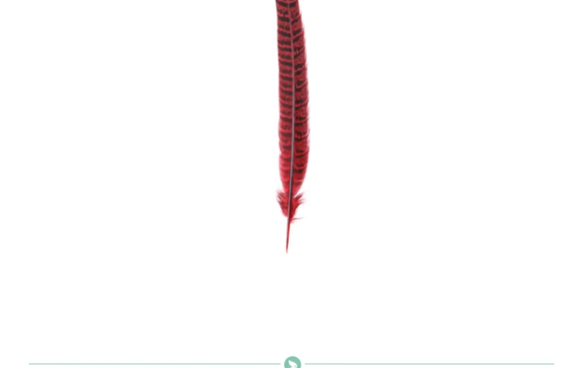 20 piume di fagiano – 25 – 30 cm – Piume di fagiano naturale per bricolage, piume di pollo, per artigianato, acchiappasogni, carnevale, piume, maschera per matrimoni, feste, colore blu