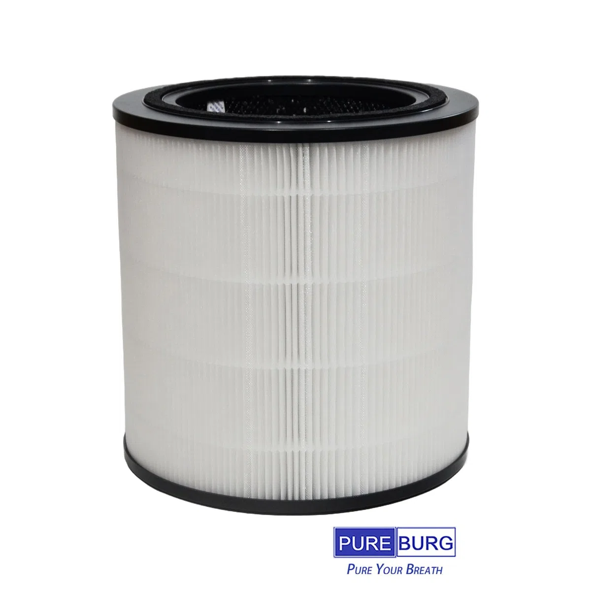 PUREBURG Filtro di ricambio compatibile con depuratore d'aria Bosch Air 4000, confezione da 2 pezzi H13 HEPA carbone attivo 2 in 1 3 livelli di filtrazione polvere VOCs odore