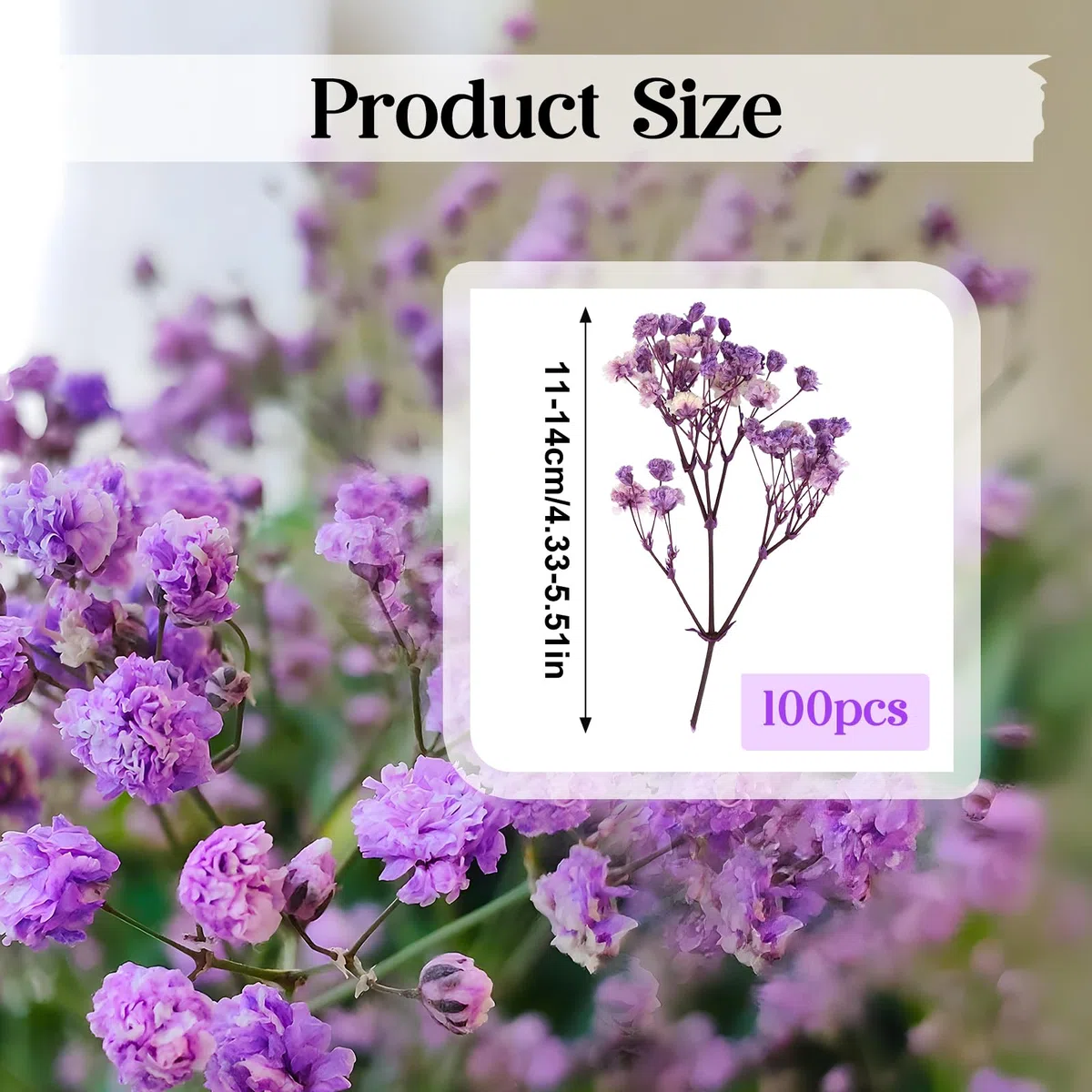100 Pezzi Essiccata Nebbiolina Secca, Multi Bocciolo di Fiore Gypsophila, Nebbiolina Gypsophila Fiori, Fiori Secchi Naturali per Cornici Fai da Te, Segnalibri, Biglietti di Auguri (Dark Purple)