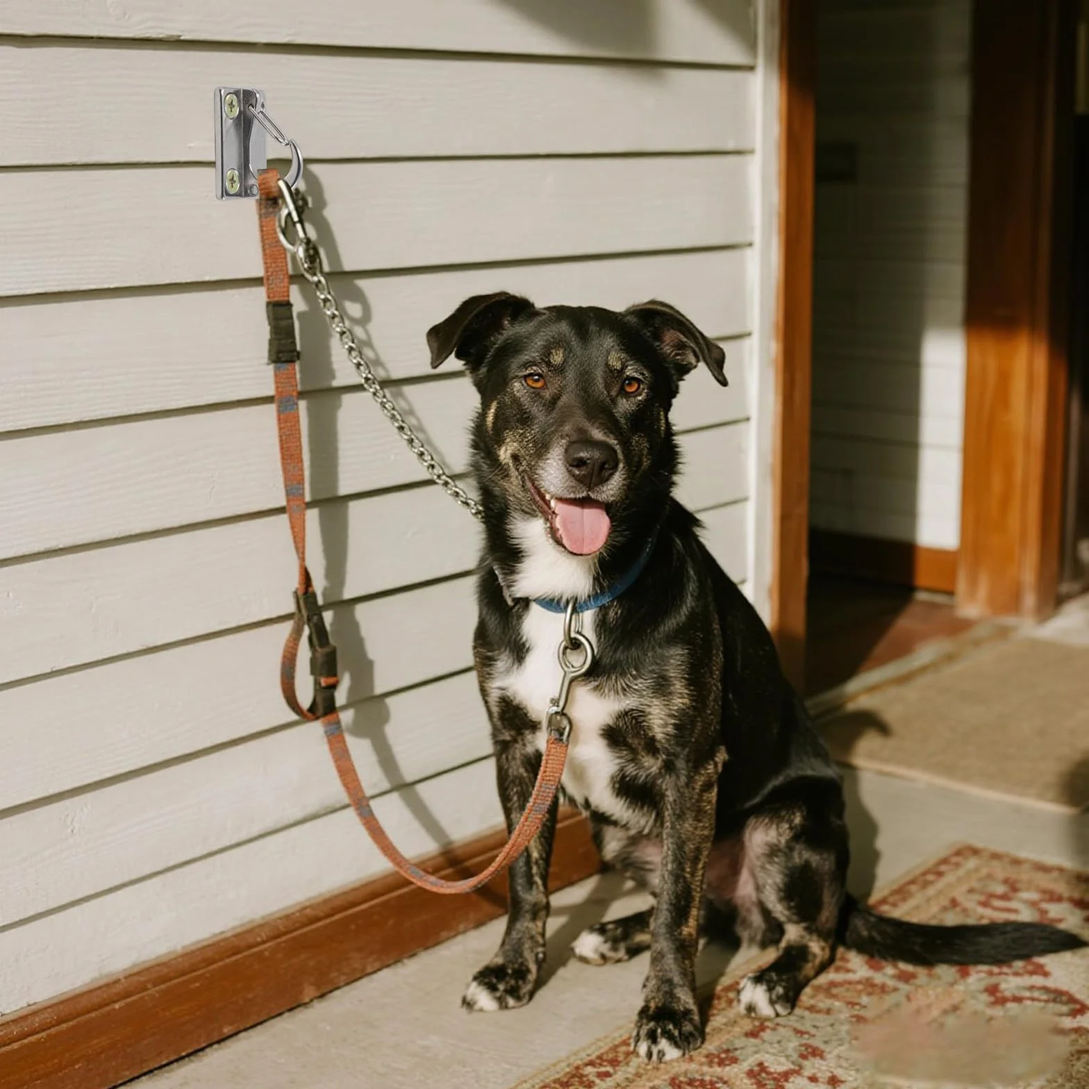 2 ganci da parete per guinzagli per cani, ganci da parcheggio in acciaio inox, per cani, guinzaglio sicuro per interni ed esterni