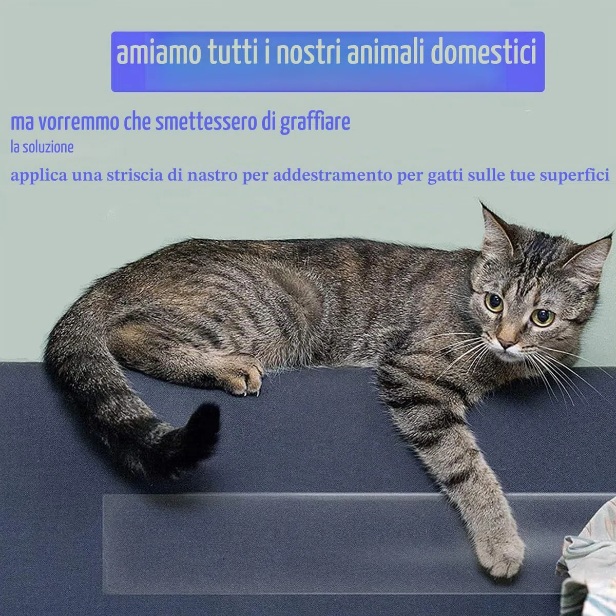 Nastro antigraffio per gatti, protezione antigraffio per porte da 6,35 cm x 10 m, autoadesivo su un lato, trasparente, per divani, porte, tavoli e mobili