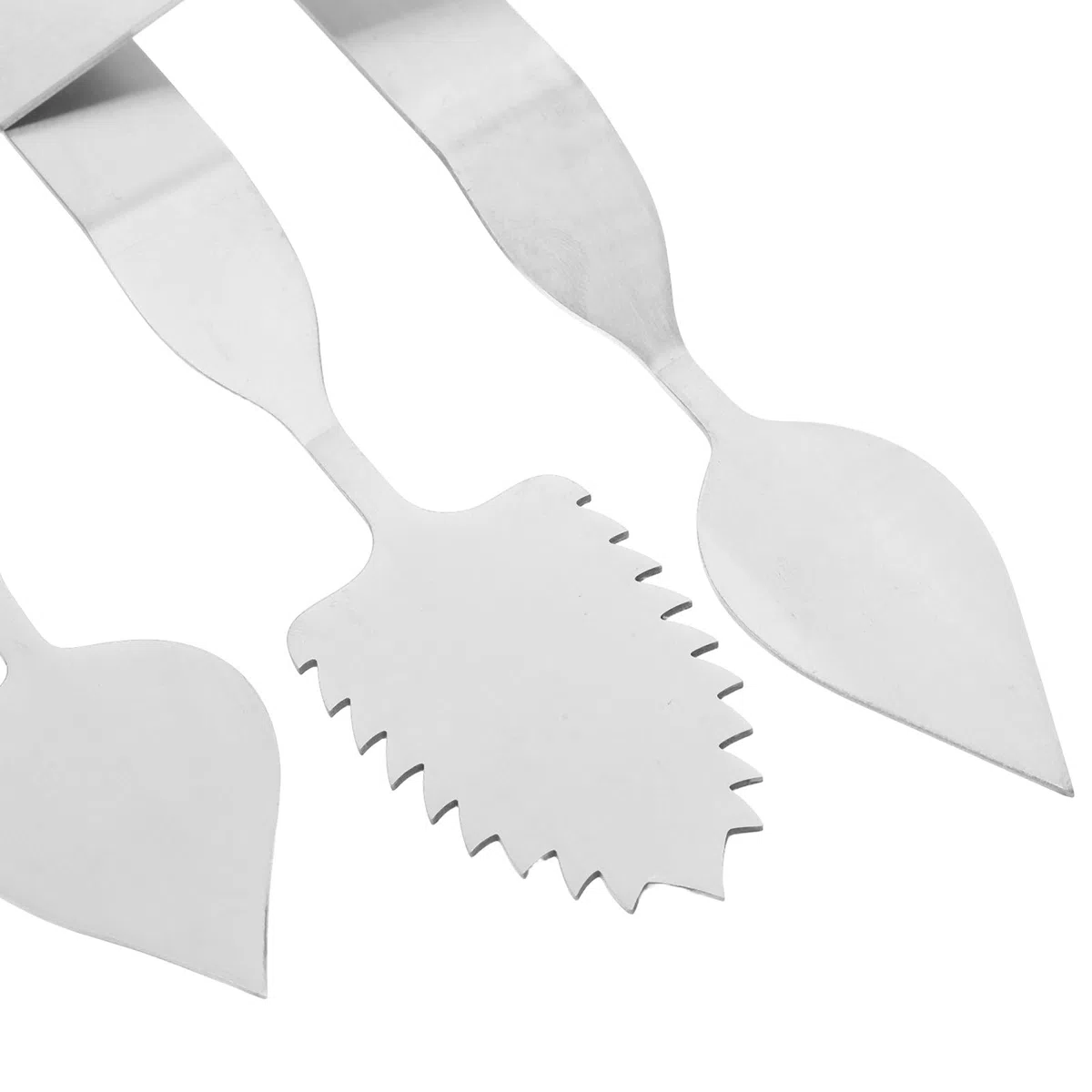 Toyvian Set 5 Pezzi Coltelli in Acciaio Inossidabile Design Ergonomico e Forme Foglia Rotonda, Lunga e Dentata per Decorazione Cioccolato e Mousse per Ristorante e Pasticceria