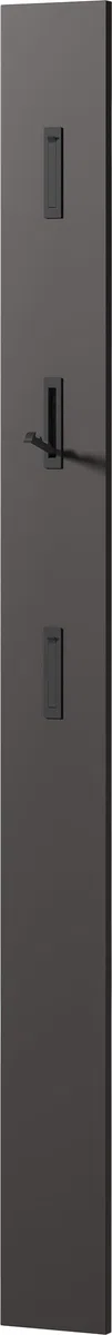 Germania Pannello appendiabiti da parete in graphite 3728-547, con 3 ganci retrattili in metallo, 15 x 170 x 3 cm (L x A x P)