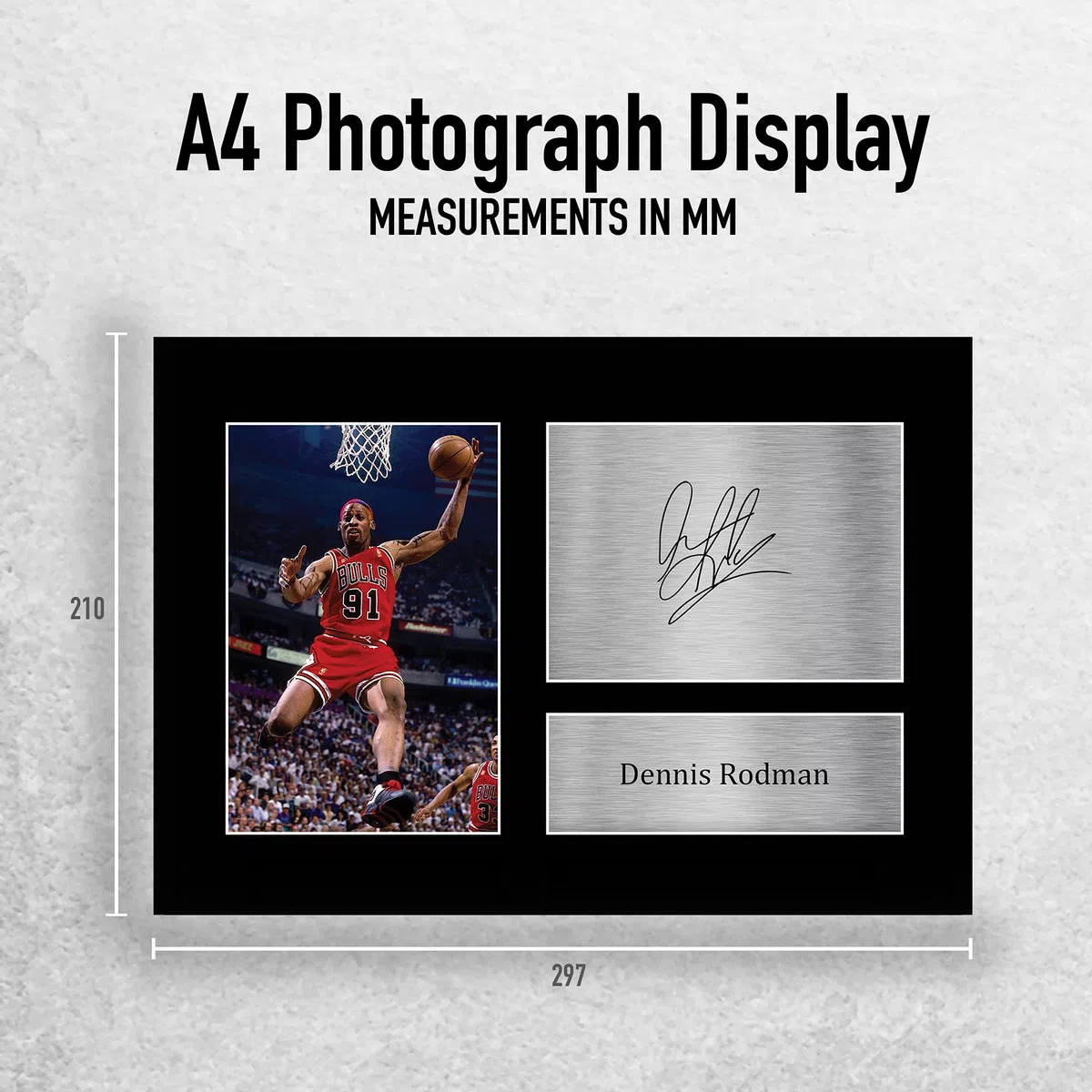 HWC Trading Dennis Rodman Chicago Bulls Regali stampati con foto autografata per gli appassionati di cimeli del football americano - A4