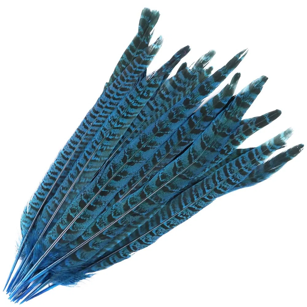 20 piume di fagiano – 25 – 30 cm – Piume di fagiano naturale per bricolage, piume di pollo, per artigianato, acchiappasogni, carnevale, piume, maschera per matrimoni, feste, colore blu