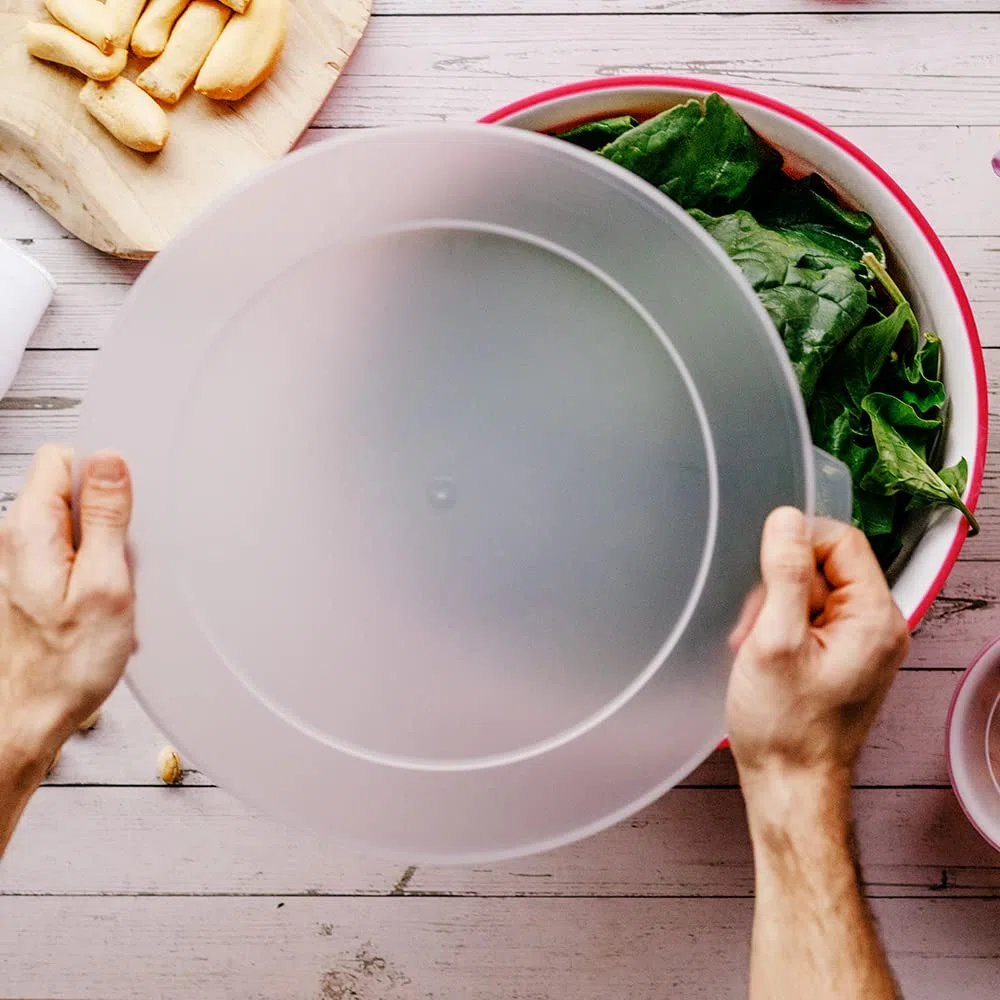 Omada Design Contenitore per Alimenti Grande con Coperchio da 6,5 Lt, Antibatterica, Leggera, Infrangibile, lavabile in Lavastoviglie, Linea Sanaliving