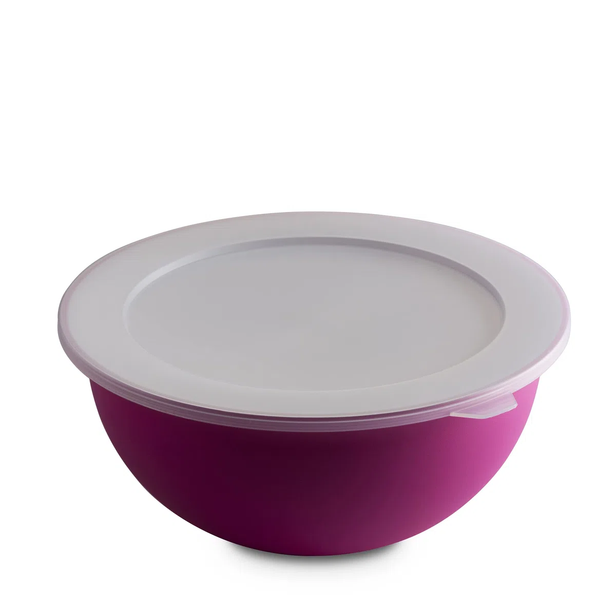 Omada Design Contenitore per Alimenti Grande con Coperchio da 6,5 Lt, Antibatterica, Leggera, Infrangibile, lavabile in Lavastoviglie, Linea Sanaliving