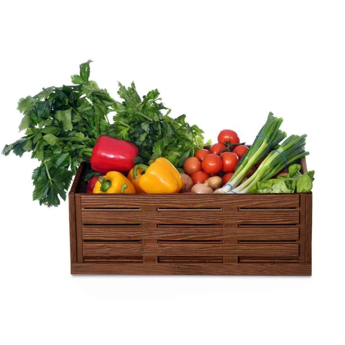 Bestlivings Scatola Pieghevole 60x40x21,8cm 45L - 1 Pezzo Plastica | Impilabile, cestino spesa, contenitore plastica, cassa frutta verdura bagagliaio