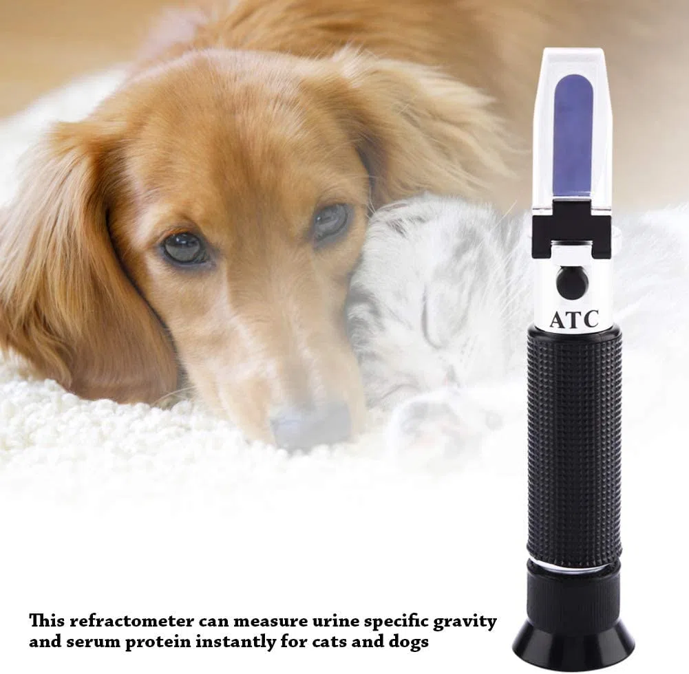 RGBS Rifrattometro clinico per cani e gatti, per animali domestici (1,000 ~ 1,060) con test di proteine del siero o del plasma (2 ~ 14 g/100 ml) per gatti veterinari, cani, animali domestici