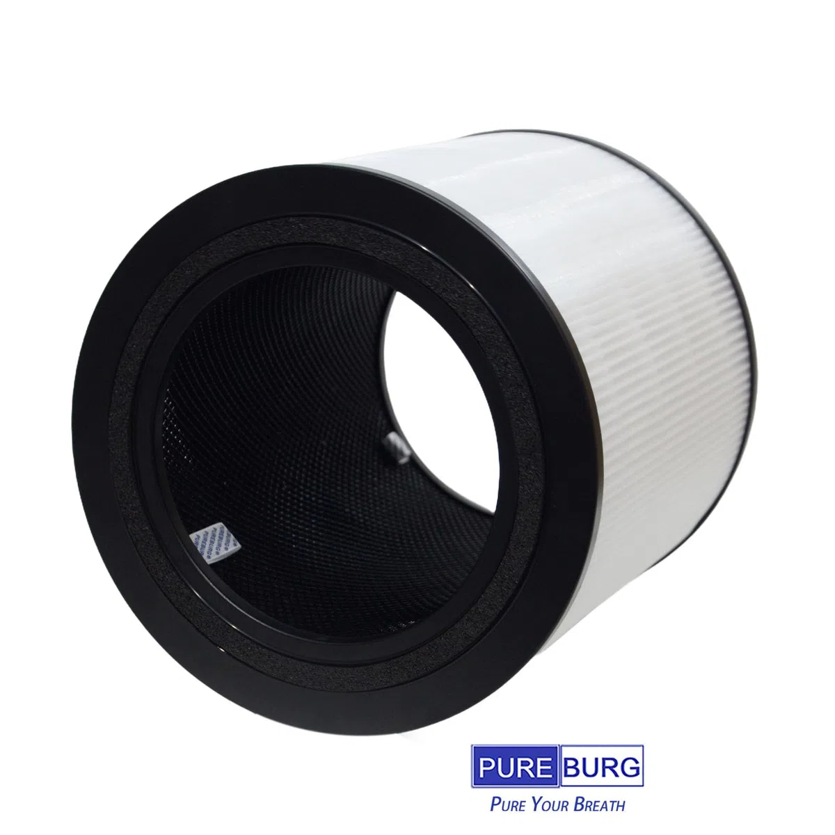 PUREBURG Filtro di ricambio compatibile con depuratore d'aria Bosch Air 4000, confezione da 2 pezzi H13 HEPA carbone attivo 2 in 1 3 livelli di filtrazione polvere VOCs odore