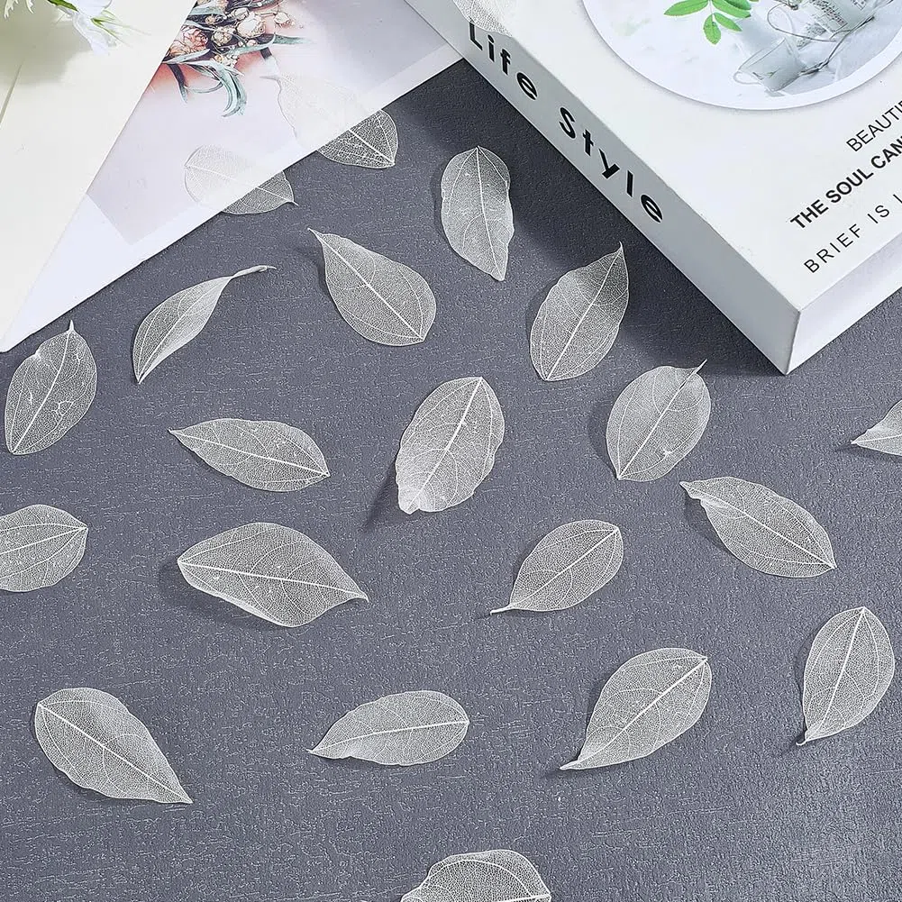 CRASPIRE 100 pz. Scheletro Naturale di Foglie di Ficus Religiosa 4.5-5mm Foglie Artificiali Bianche Foglie Essiccate Pressate Albero della Gomma Scrapbooking Biglietti Matrimonio Fai da Te