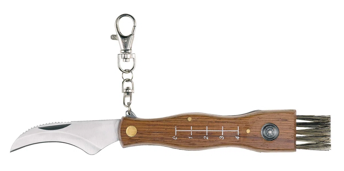 AUSONIA - Coltello coglifunghi lama inox Cm 20 manico legno con mini bussola