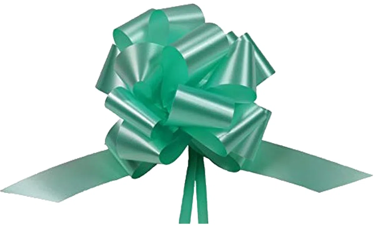 50 Nastri COCCARDE AUTOTIRANTI GRANFIOCCO Confezione Regalo Auto Antenna SPECCHIETTO Feste Varie Misure E Colori Alta QUALITA' (Nastro 3 CM DIAM. 12 CM, Verde Salvia)