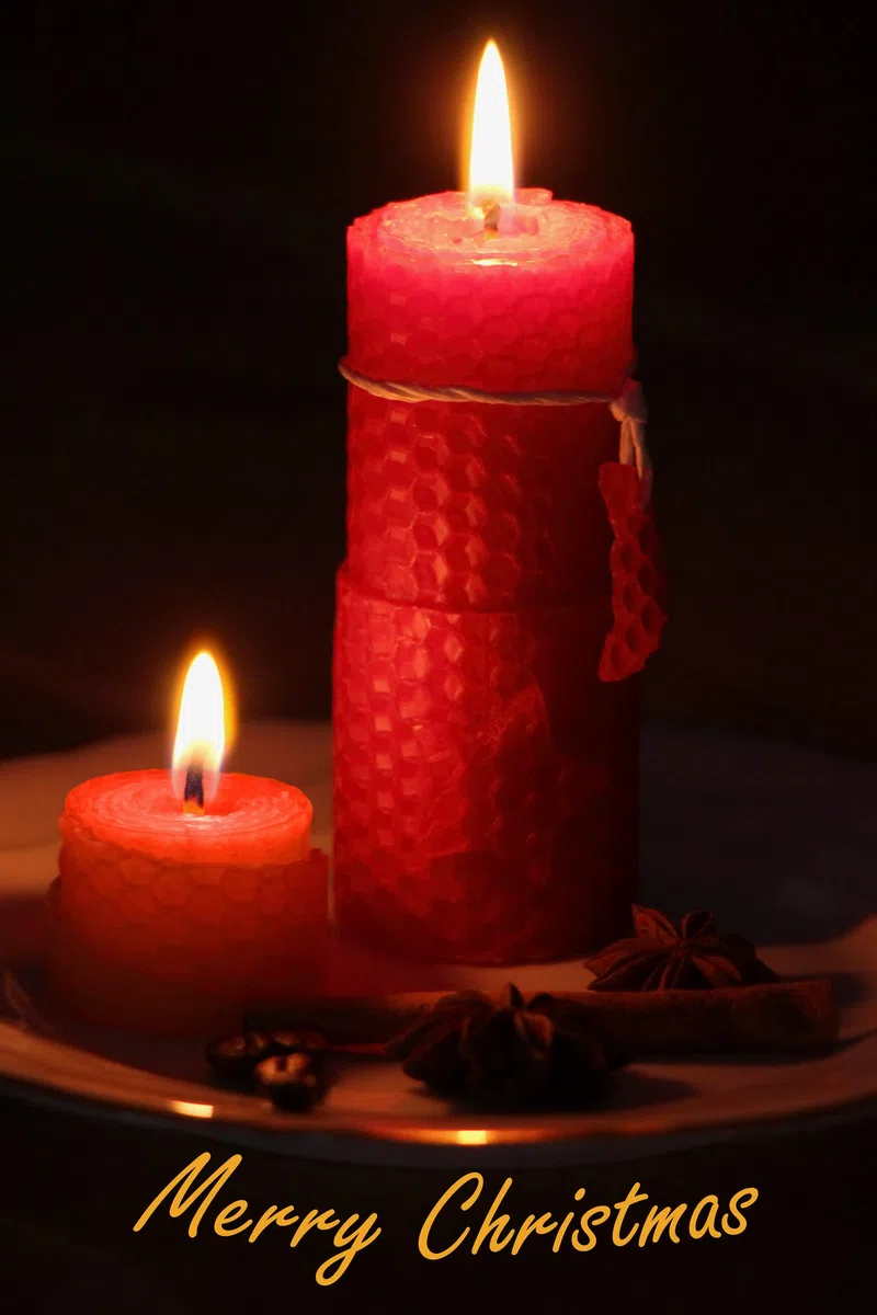 Stoppini per Candele Senza paraffina | sostenibili in Cera d'api e Canapa | 100 Pezzi | Set con Punti Adesivi e Supporto per stoppino | Diverse Lunghezze e Diametro (Ø 1,7mm | Lunghezza 21cm)