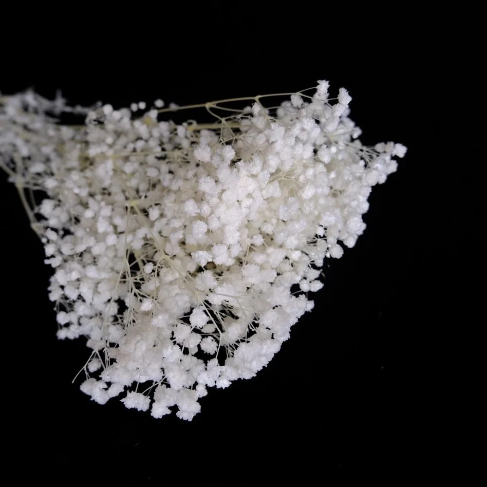 NatureMan Bouquet di fiori secchi per bambini, 43 cm, 100% Natrual Gypsophila ramoscelli per decorazione della casa, foto, accessori di scena e matrimoni, decorazioni fai da te (sbiancate)