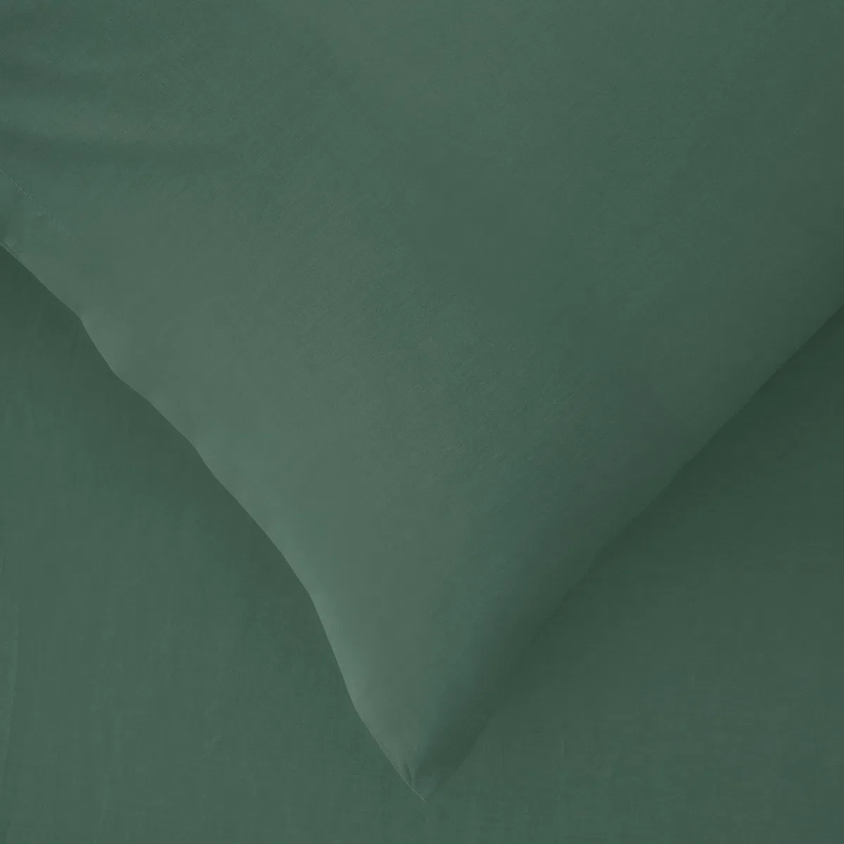 Bassetti Set 2 Federe, Salvia, 100% Cotone, 50X80 cm, Federa Cuscino Letto Morbida, Coppia Di Federe, Lavabili In Lavatrice