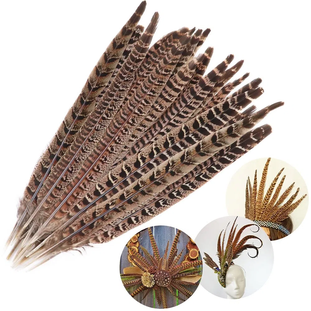 20 piume di fagiano – 25 – 30 cm – Piume di fagiano naturale per bricolage, piume di pollo, per artigianato, acchiappasogni, carnevale, piume, maschera per matrimoni, feste, colore blu