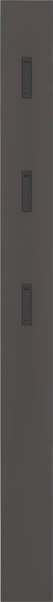 Germania Pannello appendiabiti da parete in graphite 3728-547, con 3 ganci retrattili in metallo, 15 x 170 x 3 cm (L x A x P)