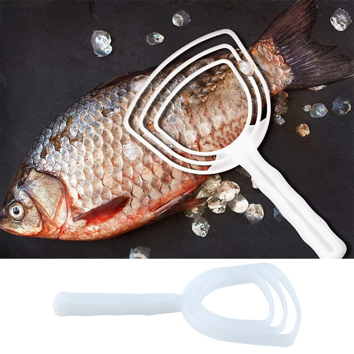 Qury Scaler Manuale per Pesci Adatto per Squame di Pesce, Ossa rotte, Ossa di Carne, Grasso